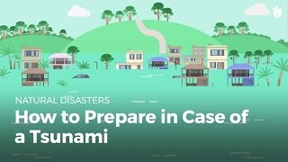 How to Prepare in Case of a Tsunami  Disasters [upl. by Animaj651]