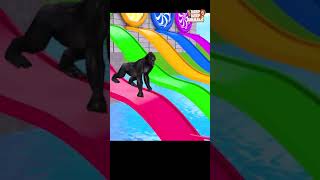 DONT CHOOSE The WRONG WATERSLIDE With Elephant Cow Tiger Gorilla Escape Room Challenge Cage Game [upl. by Ingunna319]