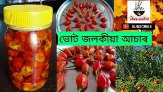 Bhut jolokia asar  Ghost chilli pickle  king chilli pickle chilli pickle recipe [upl. by Gaylene109]