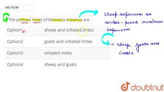 The primary hosts of Moniezia expansa are  12  ANIMALIA I LOWER INVERTEBRATES  BIOLOGY [upl. by Yleek]