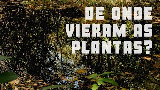 De onde vieram as plantas [upl. by Menard]