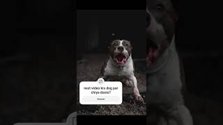 Pitbull dog breed short information in hindi All dog brees facts in hindi pitbulldog [upl. by Freddy759]