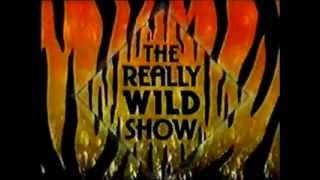 The Really Wild Show extended theme tune [upl. by Ennybor]