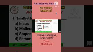 RRB Pharmacist exam preparation notes 2024 Anatomy smallest bone Stapes [upl. by Telimay467]