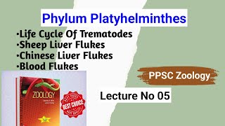 Life Cycle Of Trematodes  Chinese Liver Fluke  Sheep Liver Fluke  Blood Fluke  Lecture No 05 [upl. by Irrabaj]