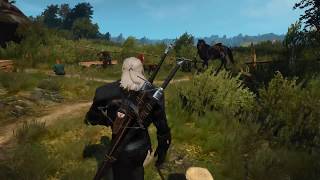 The Witcher 3 PS4 Pro Patch 162 v2 [upl. by Lymann]