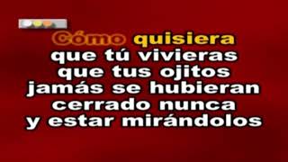 AMOR ETERNO  ROCIO DURCAL  KARAOKE [upl. by Aihsercal846]