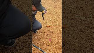 November 12 2024 metal detecting metaldetecting [upl. by Brill25]