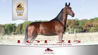 Lot 215 Uno Jantera x Sweeping Victory  filly [upl. by Caleb126]