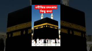 নবীজির চমৎকার কিছু কথা history amazingfacts interestingfacts factsinhindi religion motivation [upl. by Nylazor927]