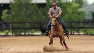 Clinica de rienda a cargo de Shawn Flarida en Haras Don Carlos [upl. by Icrad815]