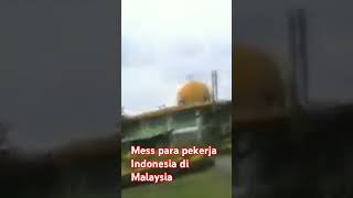 mess para pekerja Indonesia di Malaysia timurshots [upl. by Oswell]