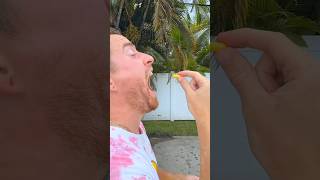 He almost ATE it Magic Grow capsules 😱✨😱 shorts martaandrustam khamitovy [upl. by Shreeves302]