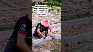 Raised bed garden pangarap raisedbedgarden buhayprobinsya reels reallife highlights fypシ゚ [upl. by Nerrual256]