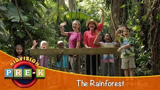 Rainforest  Virtual Field Trip  KidVision PreK [upl. by Gregg6]