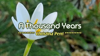 A THOUSAND YEARS  Karaoke Version  in the style of Christina Perri [upl. by Monica]