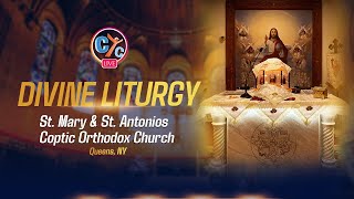 Live USA Divine Liturgy St Mary and St Antonios Coptic Orthodox Church Queens NY [upl. by Charlton]