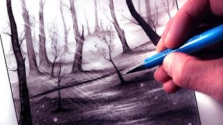 How to Draw a Forest [upl. by Oakleil859]