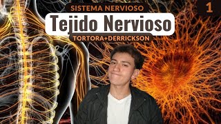 TODO lo que un ESTUDIANTE debe saber del TEJIDO NERVIOSO TortoraDerrickson [upl. by Ennairak]