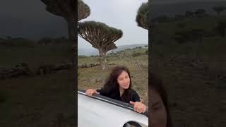 Socotra Island Yemen socotra travel tourism yemen trip love nature جزيرة سقطرى اليمن سقطرى [upl. by Llednew]