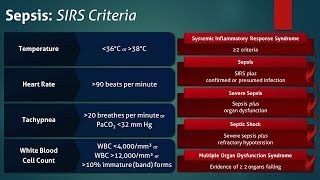 Sepsis Systemic Inflammatory Response Syndrome SIRS Criteria [upl. by Jessamine]