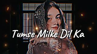 Tumse Milke Dil Ka Slowed amp Reverb  BY PRO [upl. by Anaigroeg361]