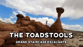 The Toadstools Grand Staircase  Utah [upl. by Leunamesoj]