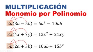 Multiplicacion de monomio por polinomio ejercicios resueltos [upl. by Alohcin528]