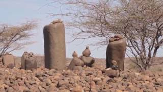 TEMBEA TURKANA DOCUMENTARY HD [upl. by Avle]