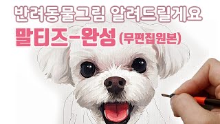 말티즈그리기 완성털의 방향에따라 강아지 몸 그리는법반려동물초상화 라이브 무편집영상 [upl. by Lubow]