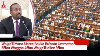 Walgaii Mana Maree Bakka Buoota Ummataa 6ffaa Waggaa 4ffaa Walgaii Idilee 3ffaa [upl. by Larner602]