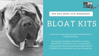 Bloat Kit  What a bloat kit is and how to use one during bloat GDV [upl. by Laux]