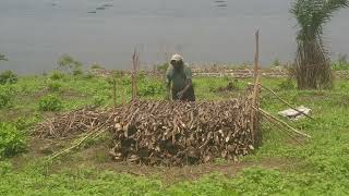 charbonnier de la Coopérative agricoletechnique traditionnelle de la pyrotechnique moins polluant [upl. by Adnicul553]