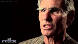 Jon KabatZinn Mindfulness 9 attitudes  trust [upl. by Beatty]