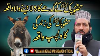 Yafur Donkey of hazoor Pak ﷺ  Allama Arshad Naqshbandi  yafoor bayan [upl. by Dier]