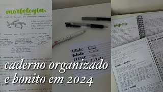 CADERNO BONITO E ORGANIZADO 2024  Tenha um glow up no caderno com dicas [upl. by Ailedroc904]