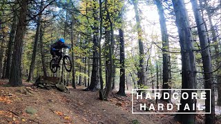 Hardcore Hardtail MTB  Custom Ragley Mmmbop [upl. by Ailahs650]