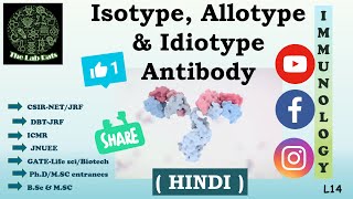 Isotype Allotype amp Idiotype Antibody  HINDI  CSIR  UGC  DBT  GATE  ICMR  JNUEE  MScBSc [upl. by Nnazus719]