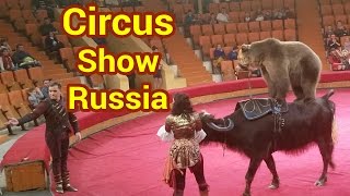 Circus show Russia [upl. by Ylle3]