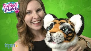 FurReal Roarin Tyler The Playful Tiger from Hasbro [upl. by Feledy327]