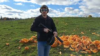 Axor Arms FMP MASSIVE 30 round MAG on pumpkins [upl. by Ellehsim629]