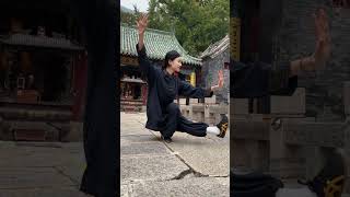 kungfu taichiclass danceform taichi taichischool [upl. by Anirehc]