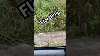 It’s Storming Again 🌧️ storm storms rain rainstorm tropicalstorm flood flooding hawaii [upl. by Zosi]