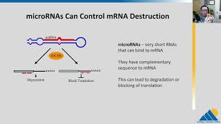 BIOL201 Ch165  Eukaryotic PostTranscriptional Gene Regulation [upl. by Regen]