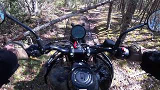 himalayan 450 offroad [upl. by Eire]