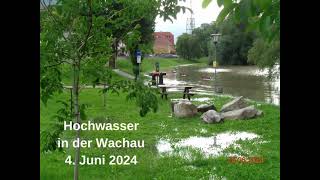 WACHAU HOCHWASSER 2024 4 JUNI IN DER WACHAUNader Michael AJM [upl. by Surdna435]