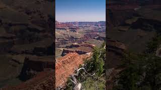 Grand Canyon  The Amazing Gorge grandcanyon ExploreGrandCanyon nationalpark [upl. by Lledra338]