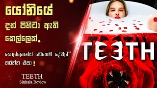 යෝනියේ දත් පිහිටා ඇති කෙල්ල 😱  Teeth Sinhala Review  English movie [upl. by Solberg844]