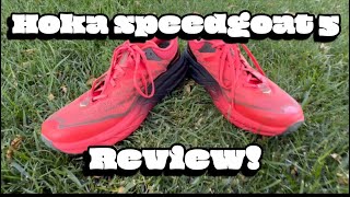 Hoka SpeedGoat 5 Men’s Running Shoe Review [upl. by Theresina]