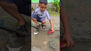 Fais naro ikan trendingshorts [upl. by Nahtanhoj]